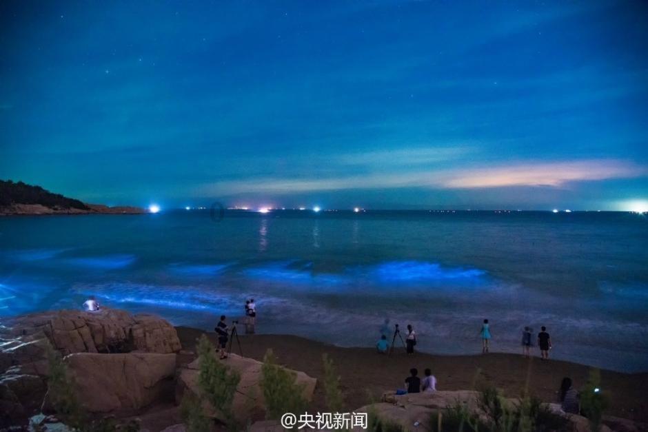 和尚不吃荤腥,为何很多和尚肥头大耳?看看他们的饭菜就知道了
